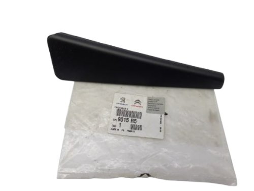 Cache de Porte Arrière Gauche 9015R5 9015.R5 Peugeot 307 Original Neuf