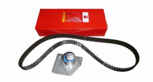 Kit de distribution 8671019546 Renault 1.9DCI Original Neuf
