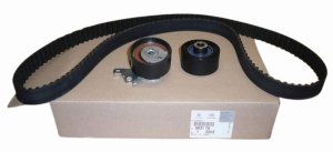 Timing Belt Set 0831.T0 0831T0 Citroen C5 Peugeot 406 2.0 16V HPI Original New