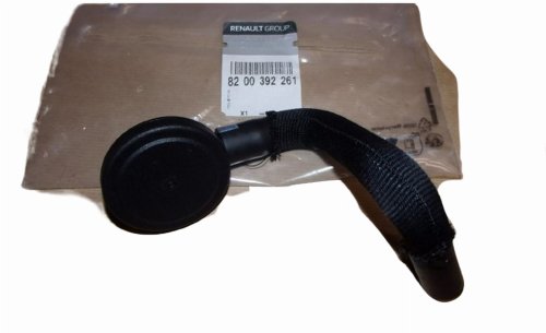 Tuyau de décompression 8200392261 Dacia Sandero II 1.5DCI Original Neuf
