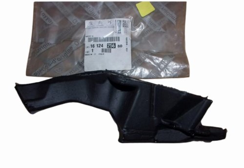 Insert de panneau de capot gauche 1612425680 Citroën Jumper III Original Neuf