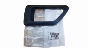 Cadre de Poignée de Porte Intérieure 9119C6 9119.C6 Avant Gauche Citroën Berlingo Original Neuf