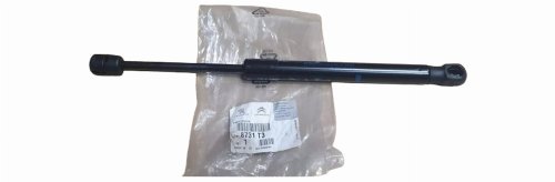 Amortisseur de Hayon 8731.T3 8731T3 Peugeot 407 Original Neuf