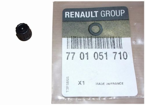 Évent du système de refroidissement 7701051710 Renault Original Neuf
