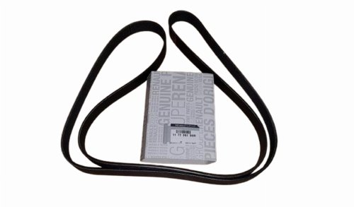 Courroie Trapézoïdale 117206190R 7PK1792 Renault 1.9/2.2/2.5DCI/2.0 Original Neuf