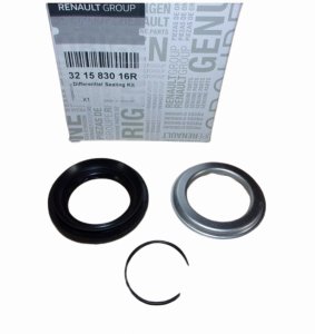 Joint De Demi-Arbre 321583016R DW6 Renault Original Neuf