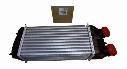 Refroidisseur D’Air 0384.N1 0384N1 Citroen Peugeot 1.6HDI Original Neuf