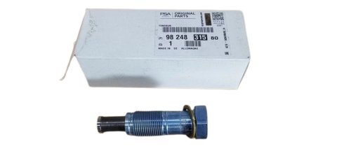 Vis De Glissière De Distribution 9824831580 Citroen C4 Peugeot 207 1.6VTI Original Neuf
