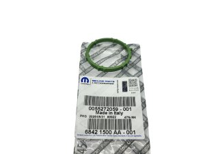 Joint de collecteur d'admission 55272059 Fiat Ducato 2021> 2.2 Original Neuf