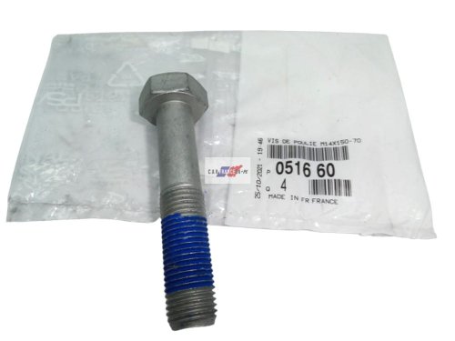 Vis de Vilebrequin 051660 Citroen Peugeot 2,0 HDI PSA Neuf Origine