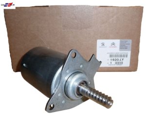 Electrovanne 1920LY Citroen Peugeot C3 DS3 208 308 1.4-1.6 VTI Nouvelle Original