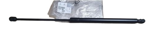 Vérin De Hayon 8731.R6 8731R6 Citroën C5 III Original Neuf