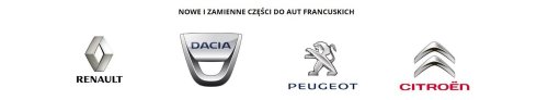 Cache De Garniture De Porte 98016405ZD Arrière Citroën C4 Cactus Original Neuf