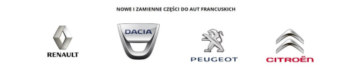 Boîtier De Filtre À Huile 1.3 CDTI 55238294 Citroën Peugeot Neuf D'origine