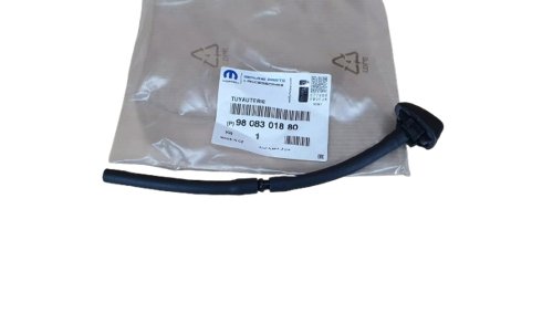Buse Pullvérisateur Original 9808301880 Citroen C3 III 