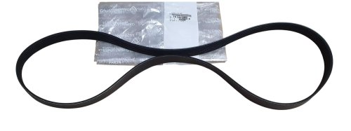 Courroie Poly-V 6PK1454 1633984880 Citroen Peugeot Original Neuf