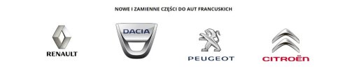 Amortisseur 543020014R Renault Laguna III Avant Original Neuf