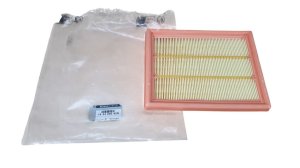 Filtre à Air 165460392R Renault Rafale 1.2 TCe Original Neuf