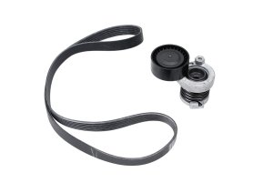 Kit Tendeur de Courroie d'Accessoires 1172001Q3A Renault 1.5 dCi 6PK1165 Original Neuf