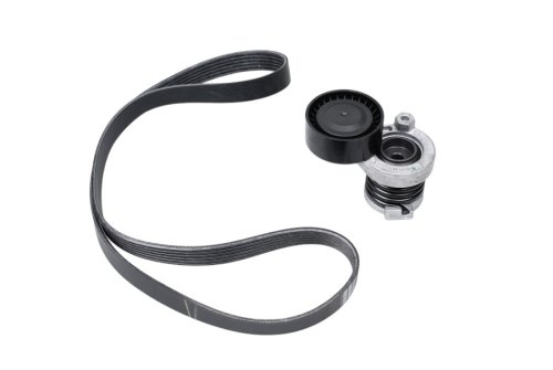 Kit Tendeur de Courroie d'Accessoires 1172001Q3A Renault 1.5 dCi 6PK1165 Original Neuf