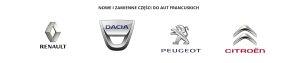 Turbocompresseur 144107877R Renault Trafic III 2.0 dCi Original Neuf