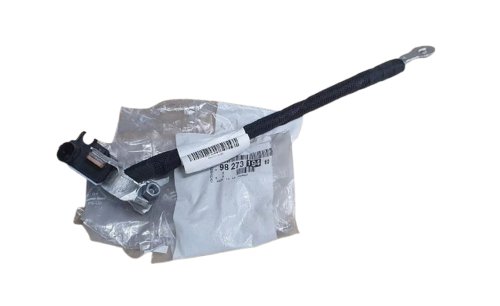 Borne Négative 9827319480 Peugeot 208 II 1.2THP Original Neuf