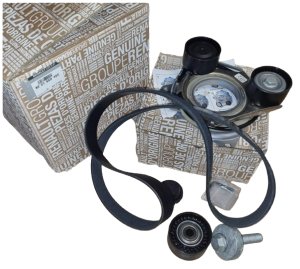 Kit De Courroie De Distribution 8201669460 Renault Original Neuf